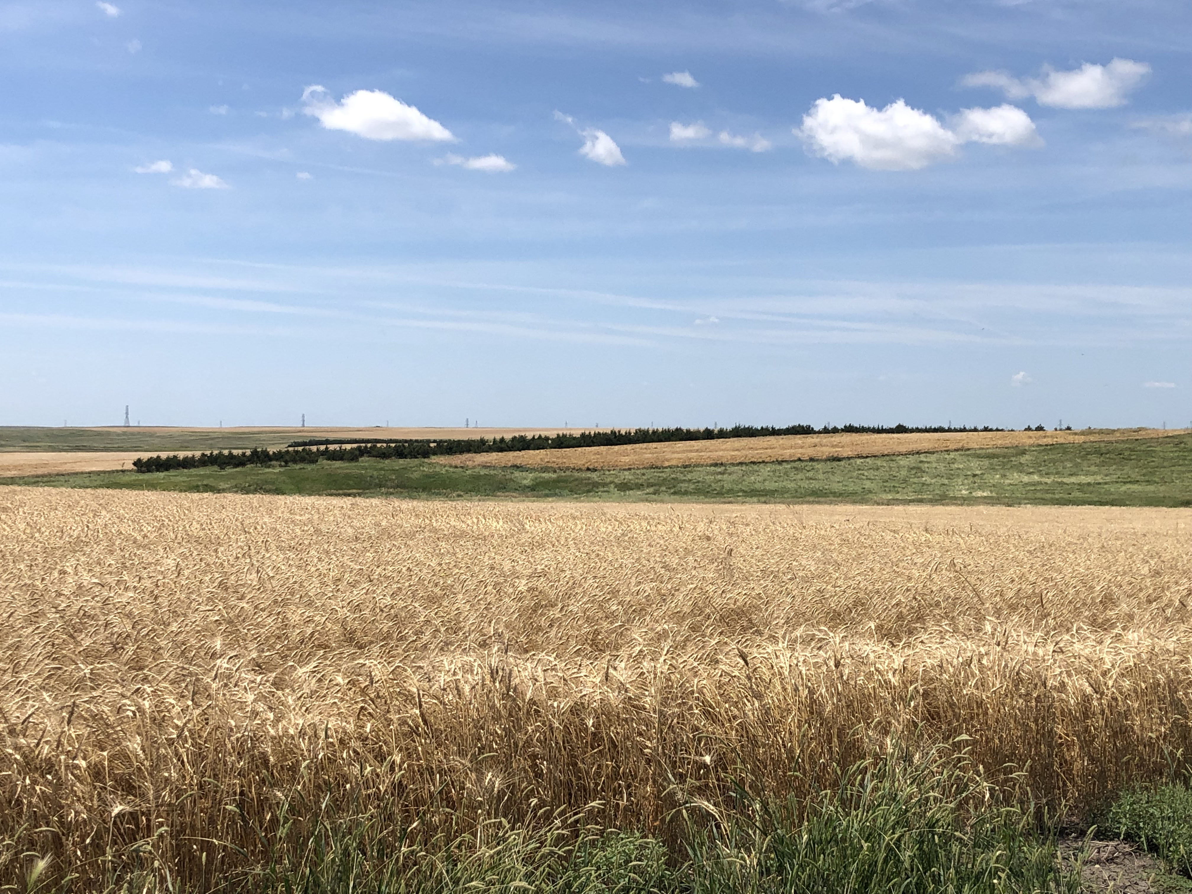 Buffalo County Farm Land Hall and Hall